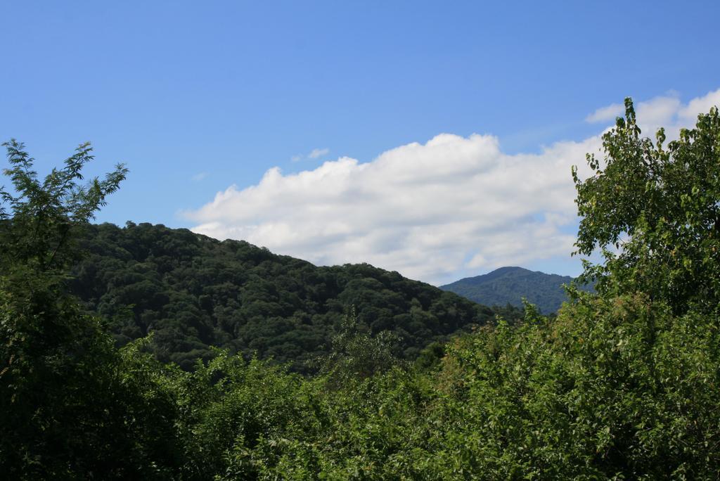 Onda Verde Hostel 산살바도르 드 쥬쥬이 외부 사진